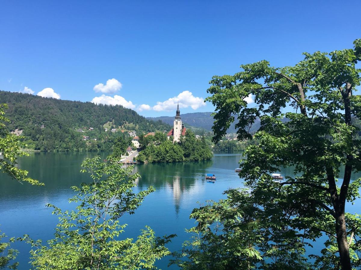 Sobe Brezje Bed & Breakfast Екстериор снимка